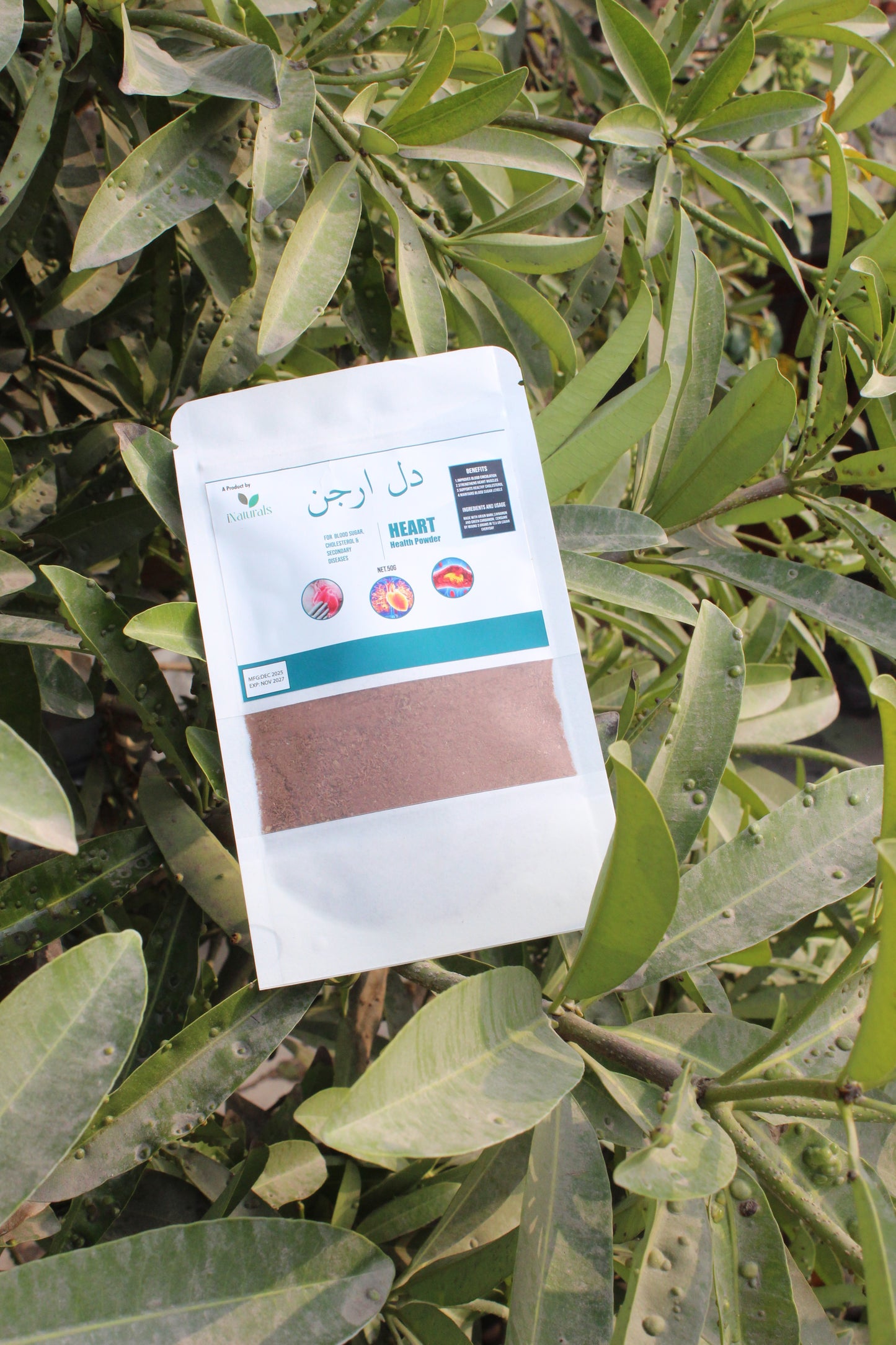 Dil Arjun/دل ارجن – Premium Herbal Heart Support Powder (50g)